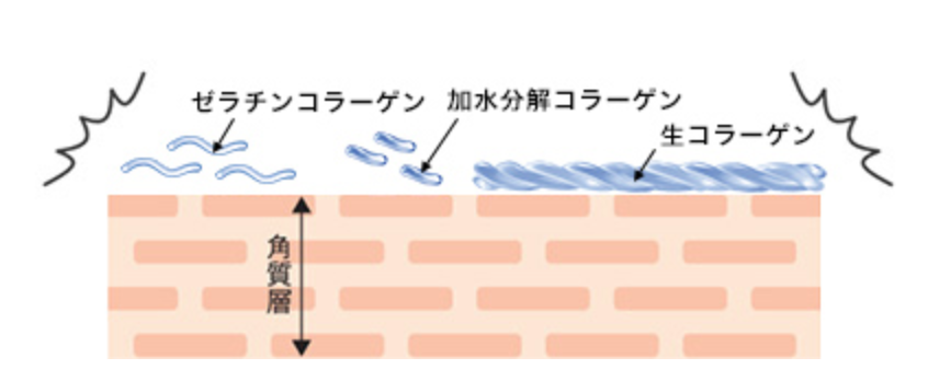 知らないと損 エステ専門取り扱い商品のfaith ラメラ化粧水がすごい もころぐすたいる